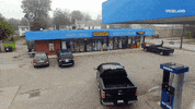 GIF by Dead Set on Life