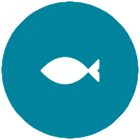 healthbyhabit_ vitamins fishoil healthbyhabit Sticker