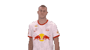 Celebration Yes Sticker by FC Red Bull Salzburg
