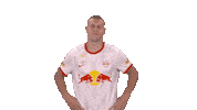 Game Over End Sticker by FC Red Bull Salzburg