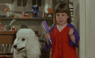 jackie collins discussion GIF