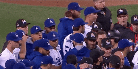 megrowler giphyupload GIF
