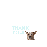 Dog Thank You Sticker by people who kaer