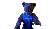 Long Island Hofstrau Sticker by Hofstra University