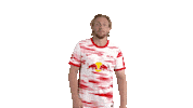 Football Wow Sticker by RB Leipzig