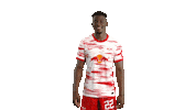 Football Soccer Sticker by RB Leipzig