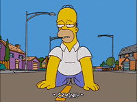 homer simpson episode 6 GIF