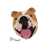 American Bulldog Dog Sticker