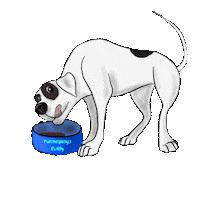 American Bulldog Dog Sticker by Glamour by Reitsport SIBO