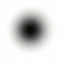 united states submission GIF by The Savannah .GIF Festival