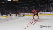 ice hockey GIF by NHL