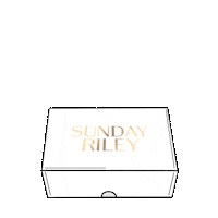 Skincare Shelfie Sticker by Sunday Riley
