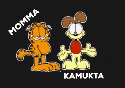 RobzzZzz27 giphygifmaker giphygifmakermobile kamuktaterence ko maro laath milke momma ke saath GIF