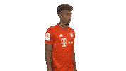 Posing Fc Bayern Sticker by Bundesliga