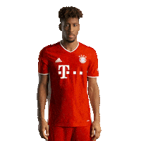 New Jersey King Sticker by FC Bayern Munich