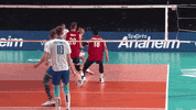 GIF by Volleyball World