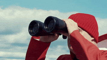 IsletGroup island binocular red beanie islet GIF