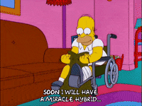 closing homer simpson GIF