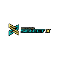 Imobiliaria Corretor Sticker by Select X