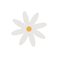 Summer Flower Sticker