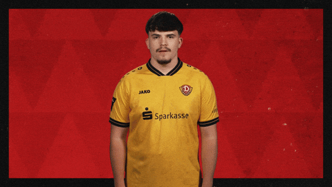 Dynamo Dresden Football GIF by Bundesliga