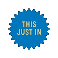 This Just In Got It On Zappos Sticker by Zappos