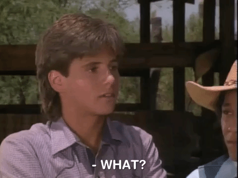 hey dude nicksplat GIF