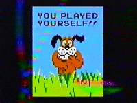 markvomit vhs nes duck hunt you played yourself GIF