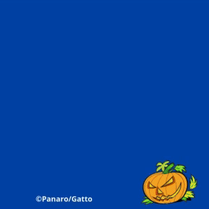 It's Halloween!