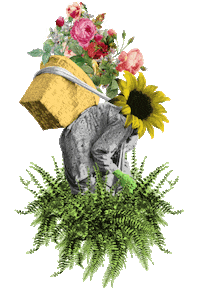 Vintage Collage Sticker by sonflower_