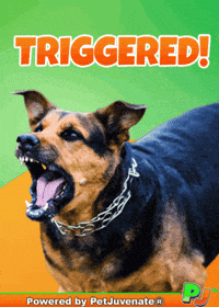 PetJuvenate petjuvenate henlo hooman fren love rescue dogs treatos and woofer for pupper GIF