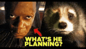Rocket Raccoon Instagram GIF