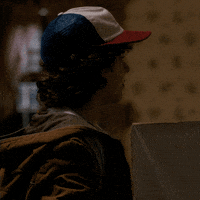 strangerthings season 1 stranger things dustin gaten matarazzo GIF