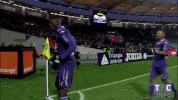 celebrate ligue 1 GIF by Toulouse Football Club