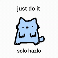 Spainnubcat GIF