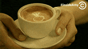 comedy central ias GIF by Inside Amy Schumer