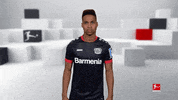 Bayer 04 Laughing GIF by Bundesliga