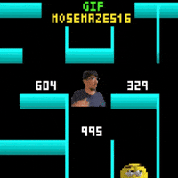 Maze 516 Mose GIF