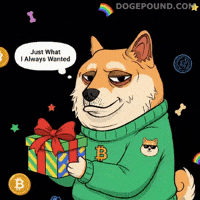 Shiba Inu Eye Roll GIF by Doge Pound