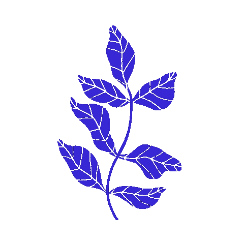 Plant Sticker