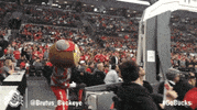 Ohio State Sport GIF by Ohio State Athletics