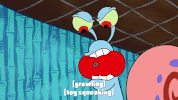 season 9 gary's new toy GIF by SpongeBob SquarePants