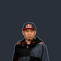 street fighter v gamer GIF by Red Bull