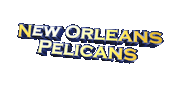 New Orleans Pelicans Sport Sticker by GIPHY Text