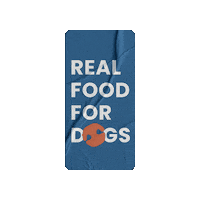 wunderdogae wonderdog wonder dog wunderdog wunder dog Sticker