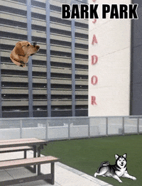 TheGrandKC  GIF
