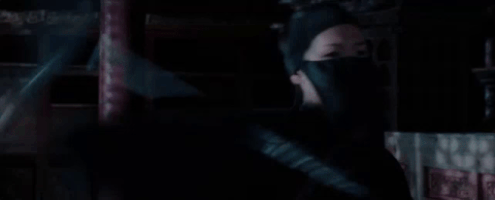 GIF by Crouching Tiger, Hidden Dragon 