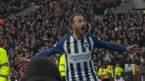 Soccer Futbol GIF by Brighton & Hove Albion Football Club