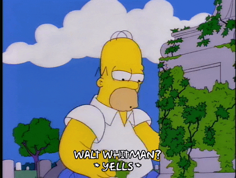 homer simpson GIF