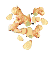 RealPetFoodCompany superfoods superlife billymargot livethesuperlife Sticker